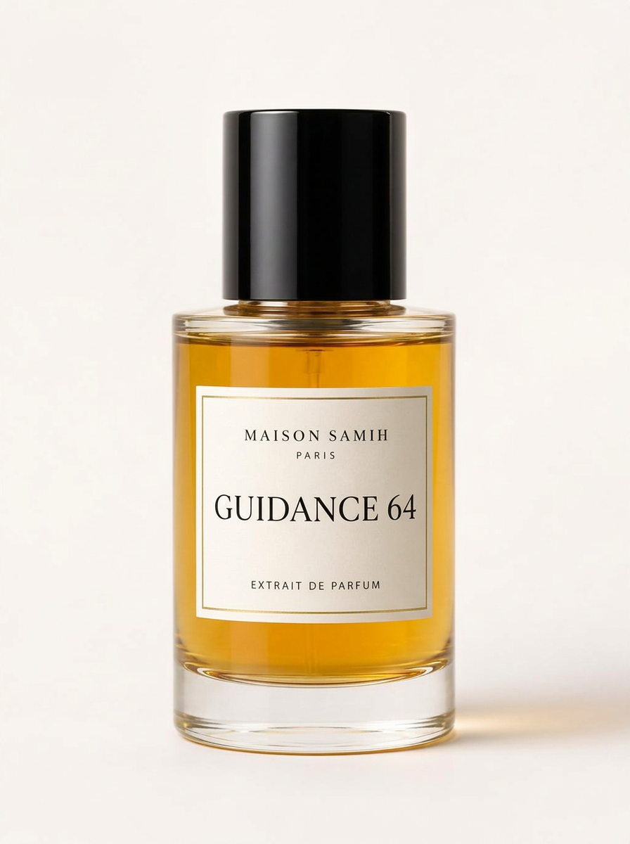 Guidance 64